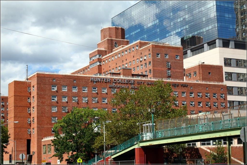 New York University College Of Nursing Nursing Schools In New York